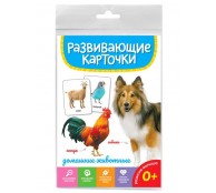 ДОМАШНИЕ ЖИВОТНЫЕ