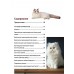  Все породы кошек. Большая иллюстрированная энциклопедия
