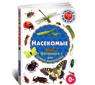 Насекомые. Фотокнига для самых маленьких Насекомые. Фотокнига для самых маленьких