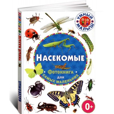 Насекомые. Фотокнига для самых маленьких