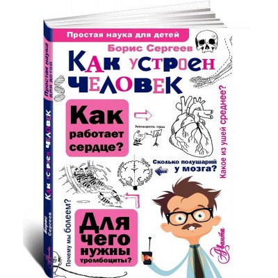 Как устроен человек