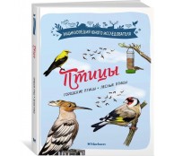 Птицы