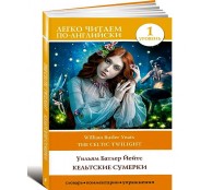 Кельтские сумерки. Уровень 1