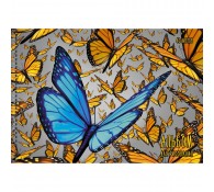Альбом для рисования Butterfly, А4, 40 листов