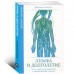 Лимфа и долголетие. Путь к укреплению иммунитета и предупреждению болезней