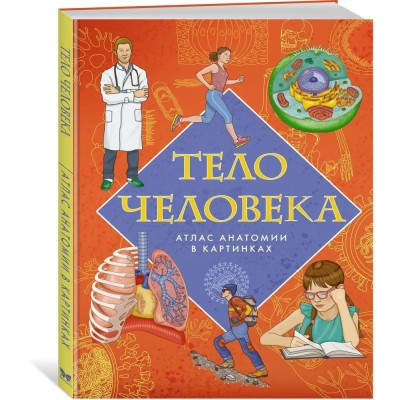 Тело человека. Атлас анатомии в картинках