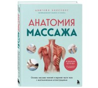 Анатомия массажа. Основы массажа нижней и верхней части тела с анатомическими иллюстрациями