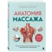 Анатомия массажа. Основы массажа нижней и верхней части тела с анатомическими иллюстрациями