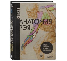 Анатомия Рэя. Большое руководство по рисунку для художников