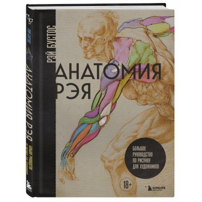 Анатомия Рэя. Большое руководство по рисунку для художников