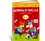 Цифры и числа (5-6 лет)