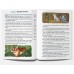 Family and Friends Readers 5. The Jungle Book