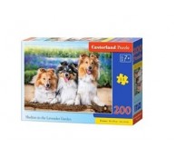 Пазл 200 Шелти в лавандовом саду