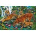 Холст с красками по номерам "Семья тигров"