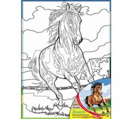 Холст для рисования, 30х40 см Лошадь/ с красками Холст для рисования, 30х40 см Лошадь/ с красками