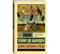 Божественная среда