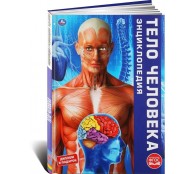 Тело человека