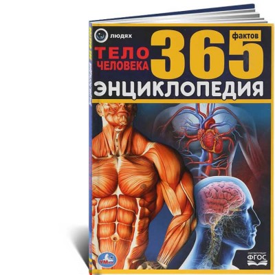 Тело человека 365 фактов