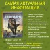 Динозавры. Современная энциклопедия