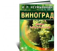 Виноград. Мифы и реальность Виноград. Мифы и реальность