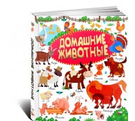 Домашние животные в картинкках