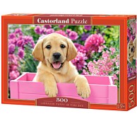 500 элементов Щенок в коробке