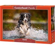 500 элементов Собака в озере