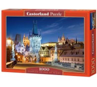 1000 элементов карлов мост