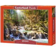 2000 элементов Лесной ручей