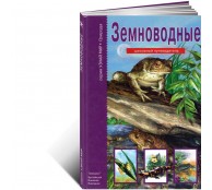 Земноводные