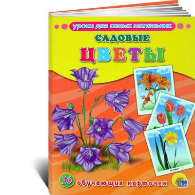 Садовые цветы. 16 обучающих карточек