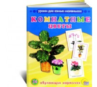 Комнатные цветы. 16 обучающих карточек