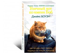 Уличный кот по имени Боб