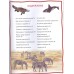 Млекопитающие. Энциклопедия для детей